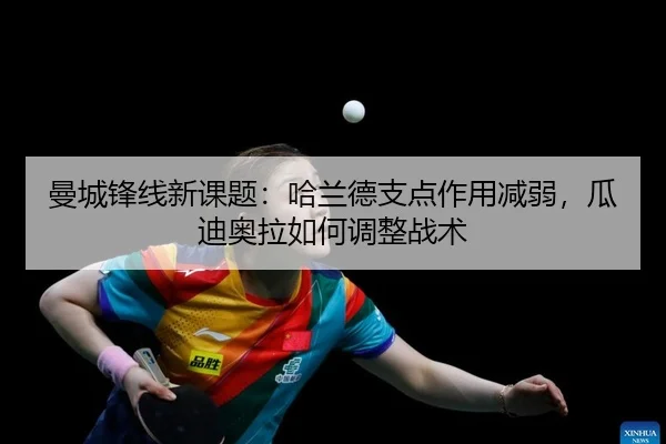 man-cheng-feng-xian-xin-ke-ti-ha-lan-de-zhi-dian-zuo-yong-jian-ruo-gua-di-ao-la-ru-he-tiao-zheng-zhan-shu-2-504.jpg